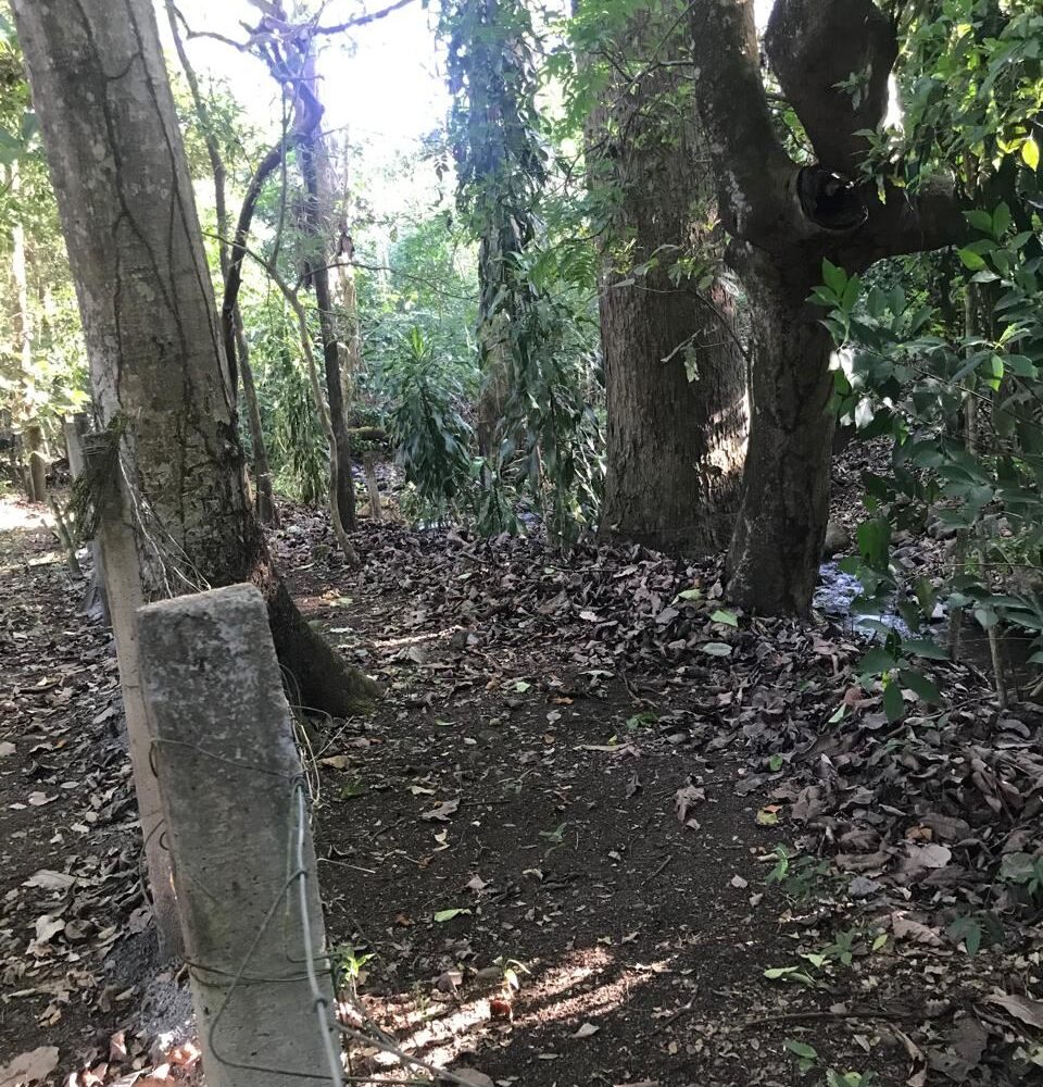 Homes for sale in Atenas Costa Rica