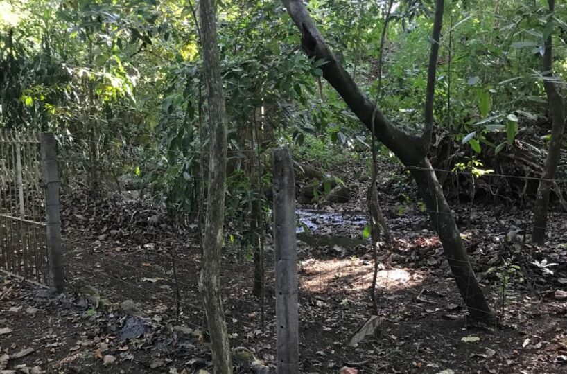 Homes for sale in Atenas Costa Rica