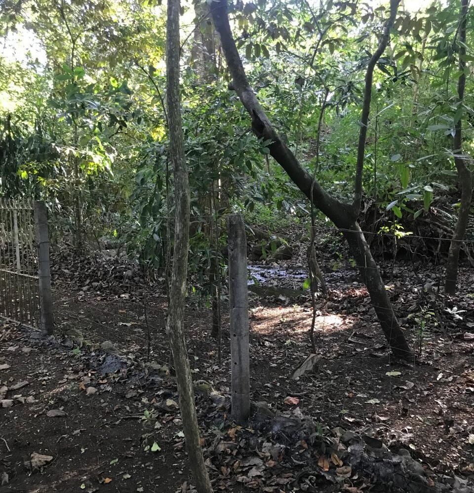 Homes for sale in Atenas Costa Rica