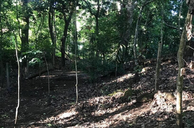 Homes for sale in Atenas Costa Rica