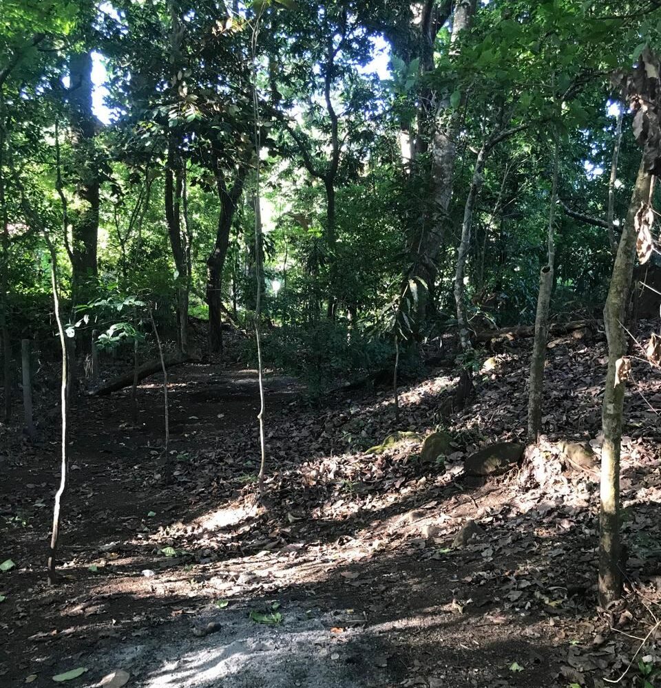 Homes for sale in Atenas Costa Rica