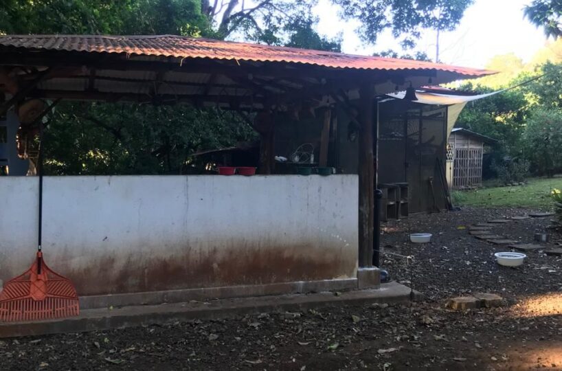 Homes for sale in Atenas Costa Rica