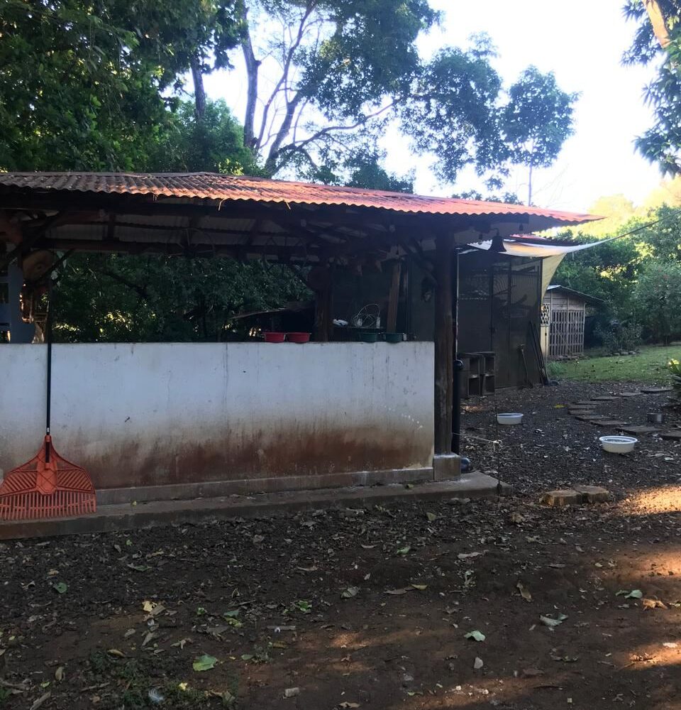 Homes for sale in Atenas Costa Rica