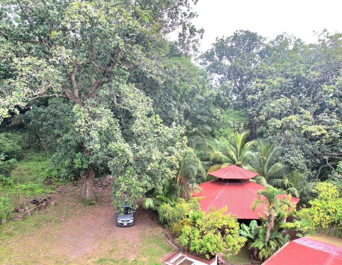 Homes for sale in Atenas Costa Rica