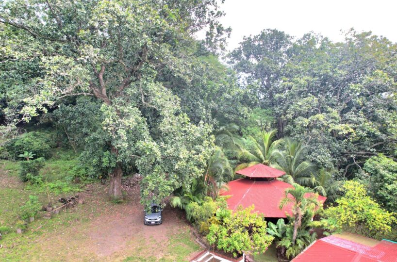 Homes for sale in Atenas Costa Rica