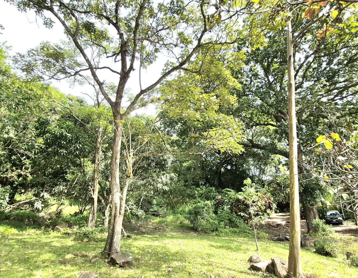 Homes for sale in Atenas Costa Rica