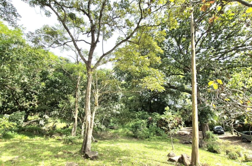 Homes for sale in Atenas Costa Rica