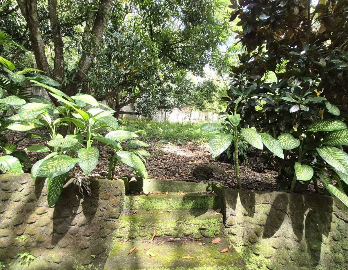 Homes for sale in Atenas Costa Rica