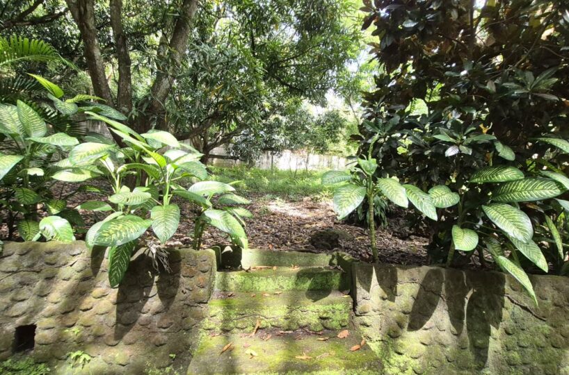 Homes for sale in Atenas Costa Rica