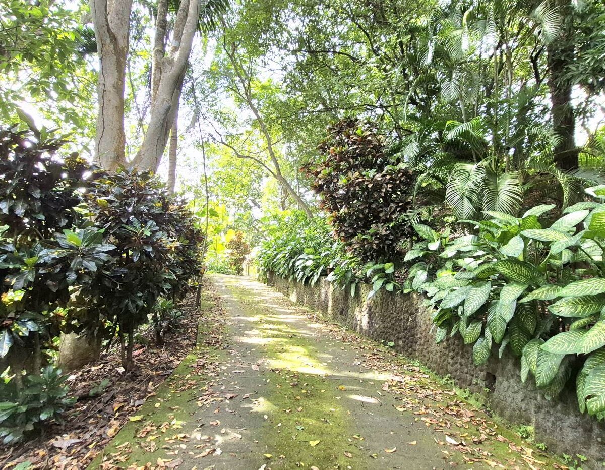 Homes for sale in Atenas Costa Rica