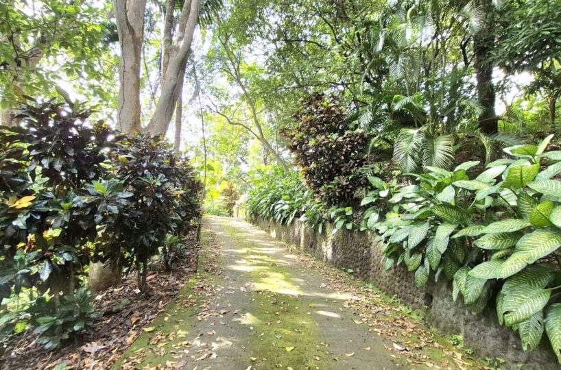 Homes for sale in Atenas Costa Rica