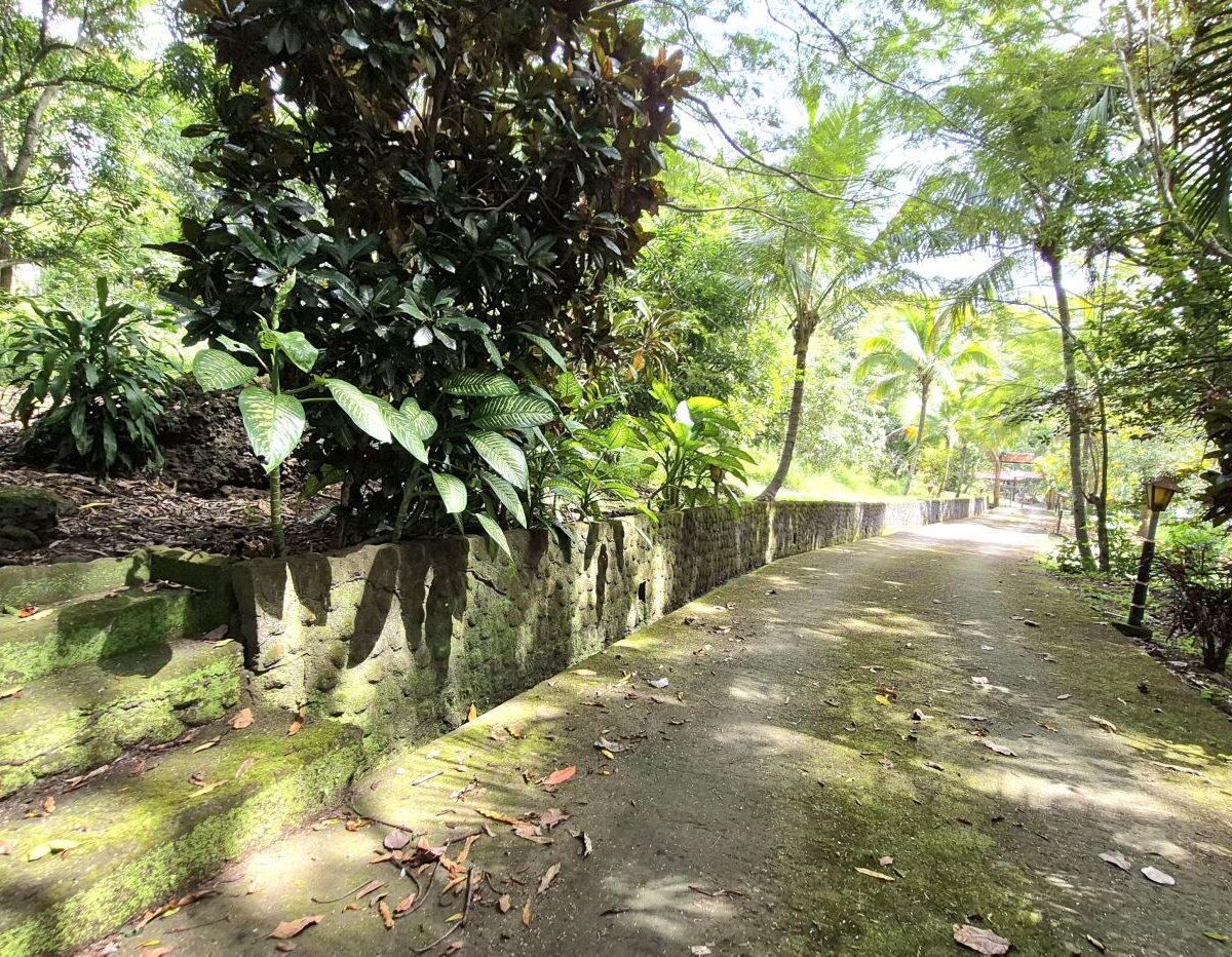 Homes for sale in Atenas Costa Rica