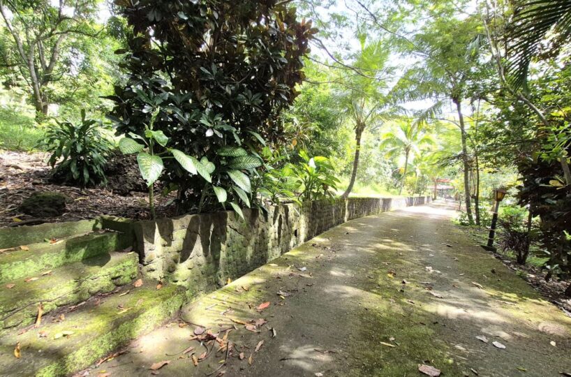 Homes for sale in Atenas Costa Rica