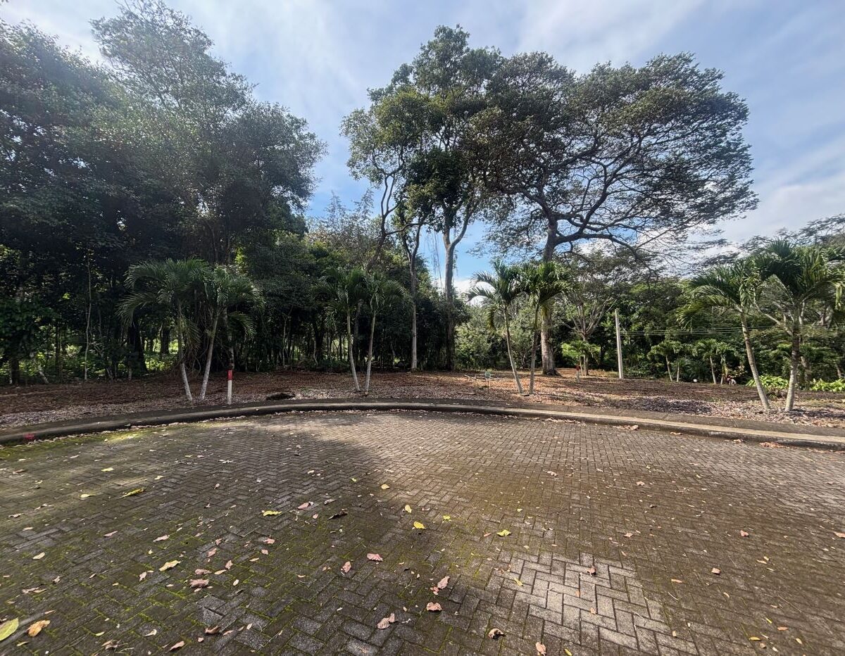 Building Lots for sale in Atenas Costa Rica