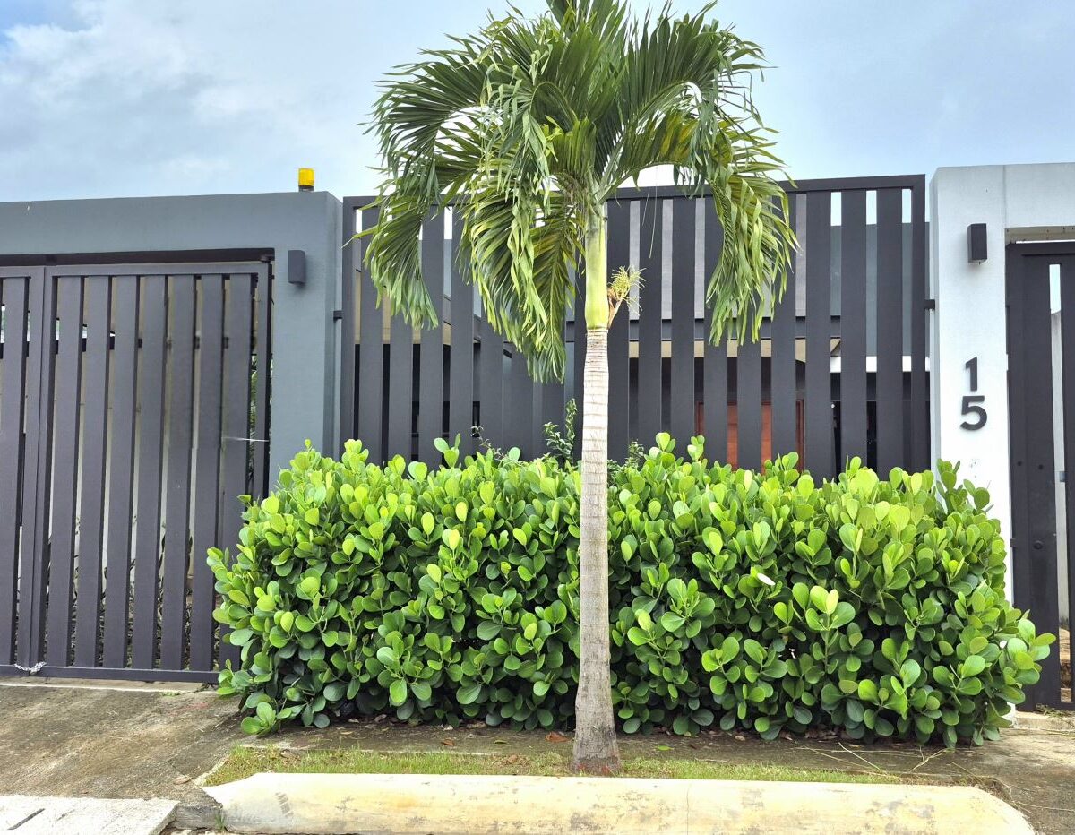 Homes for sale in Atenas Costa Rica