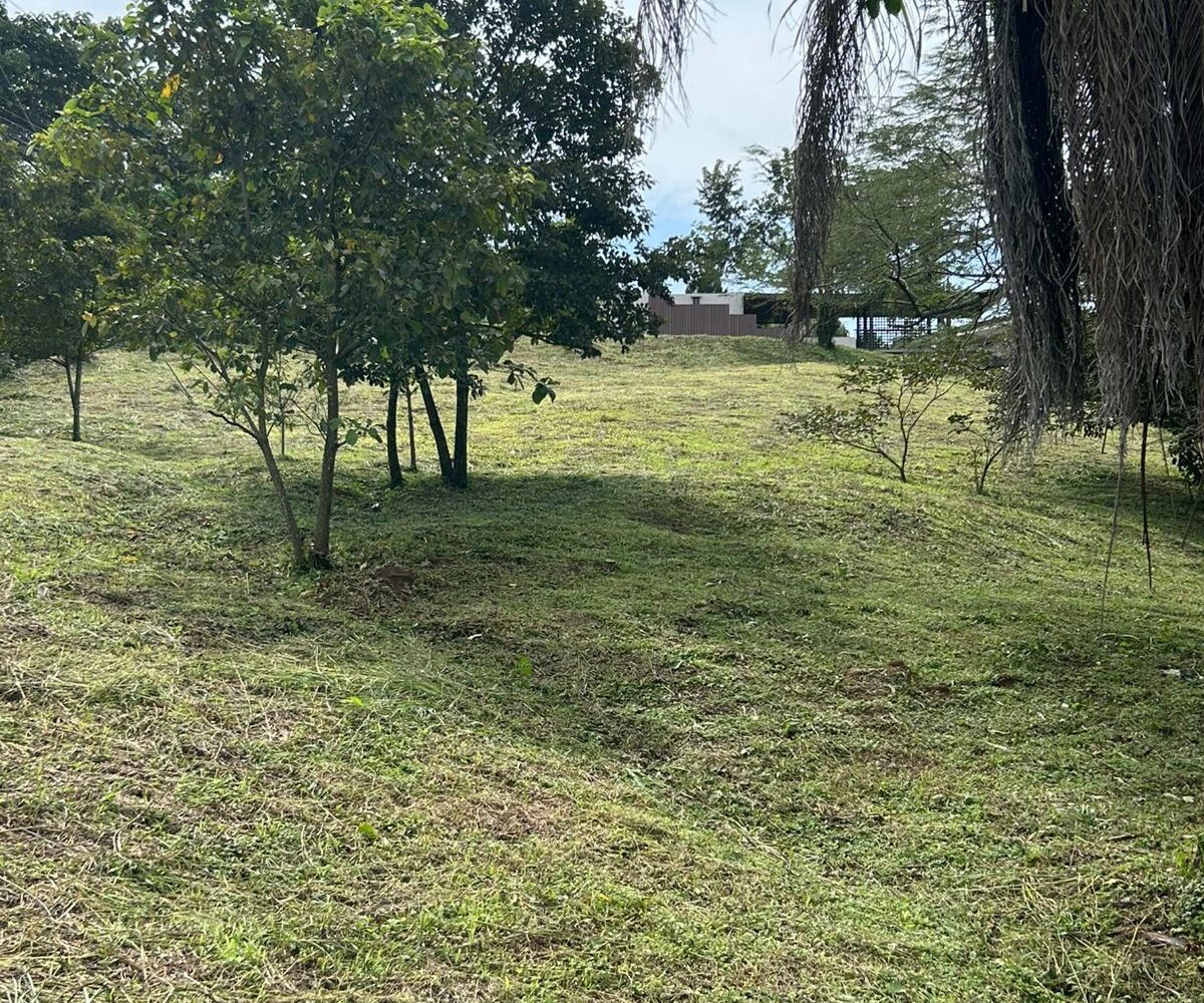 Building Lots for sale in Atenas Costa Rica