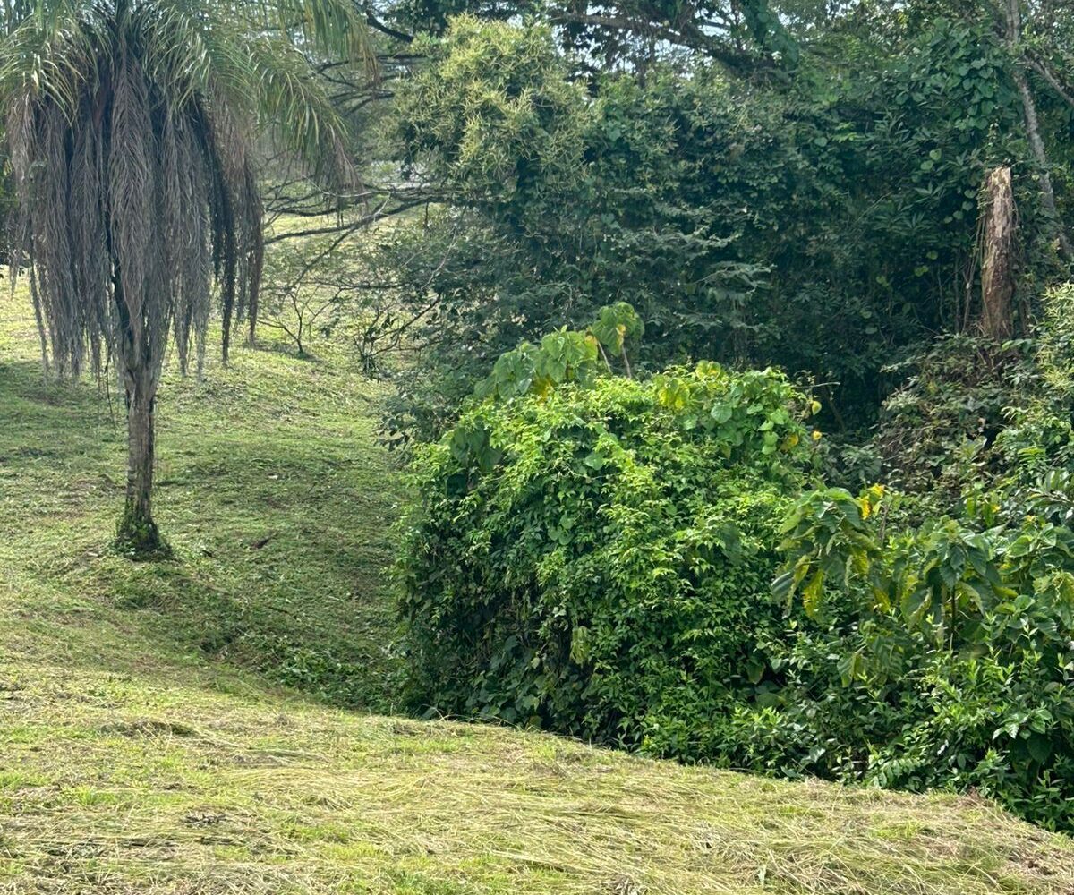 Building Lots for sale in Atenas Costa Rica