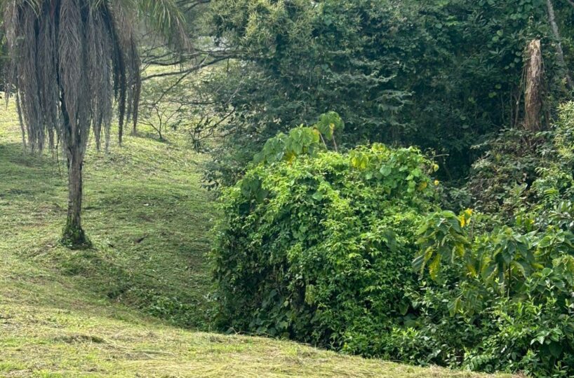 Building Lots for sale in Atenas Costa Rica