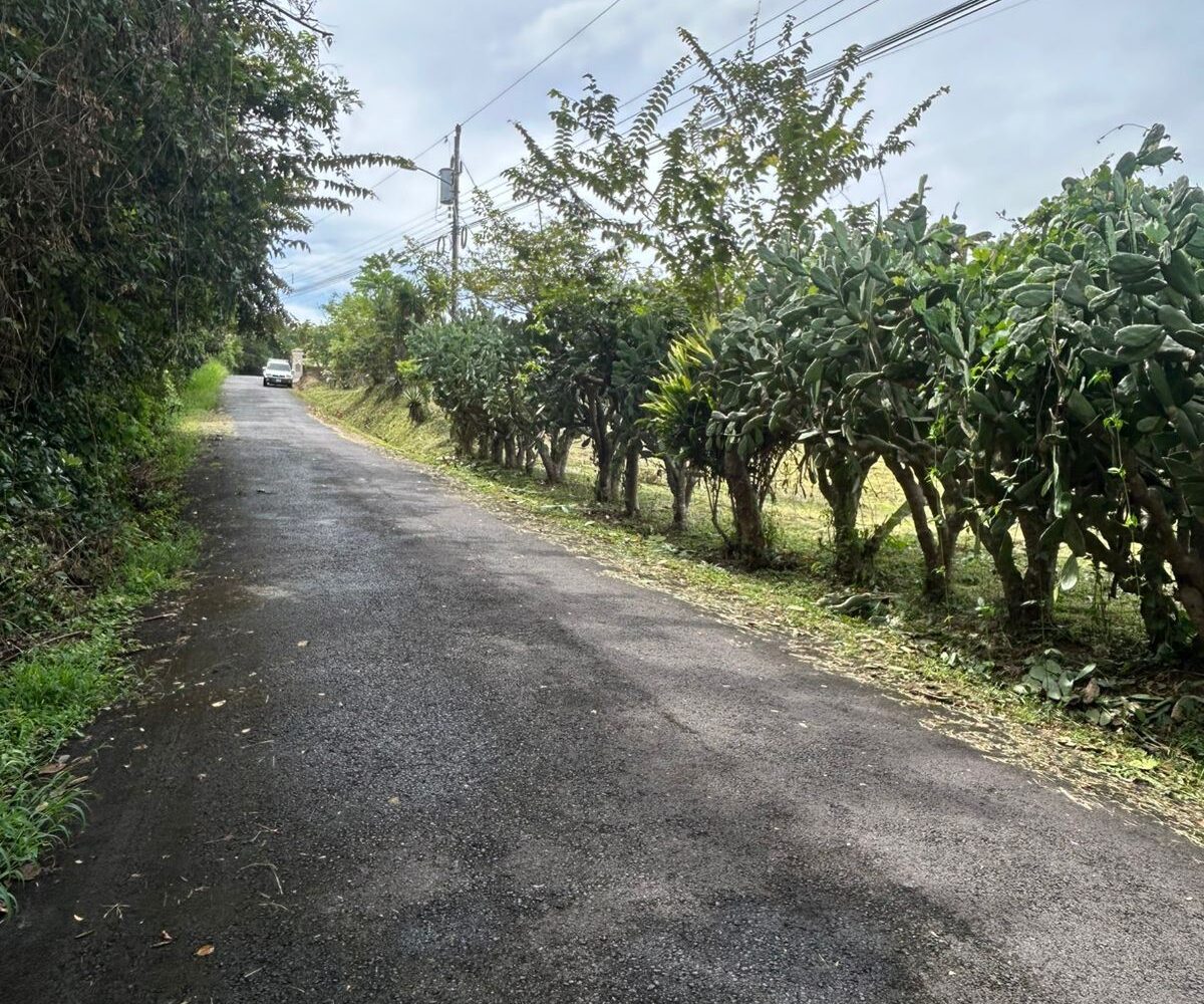 Building Lots for sale in Atenas Costa Rica