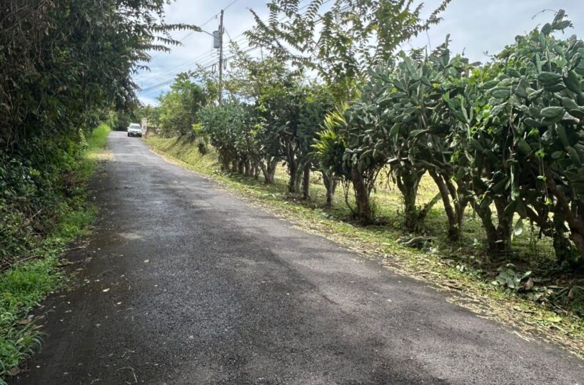 Building Lots for sale in Atenas Costa Rica