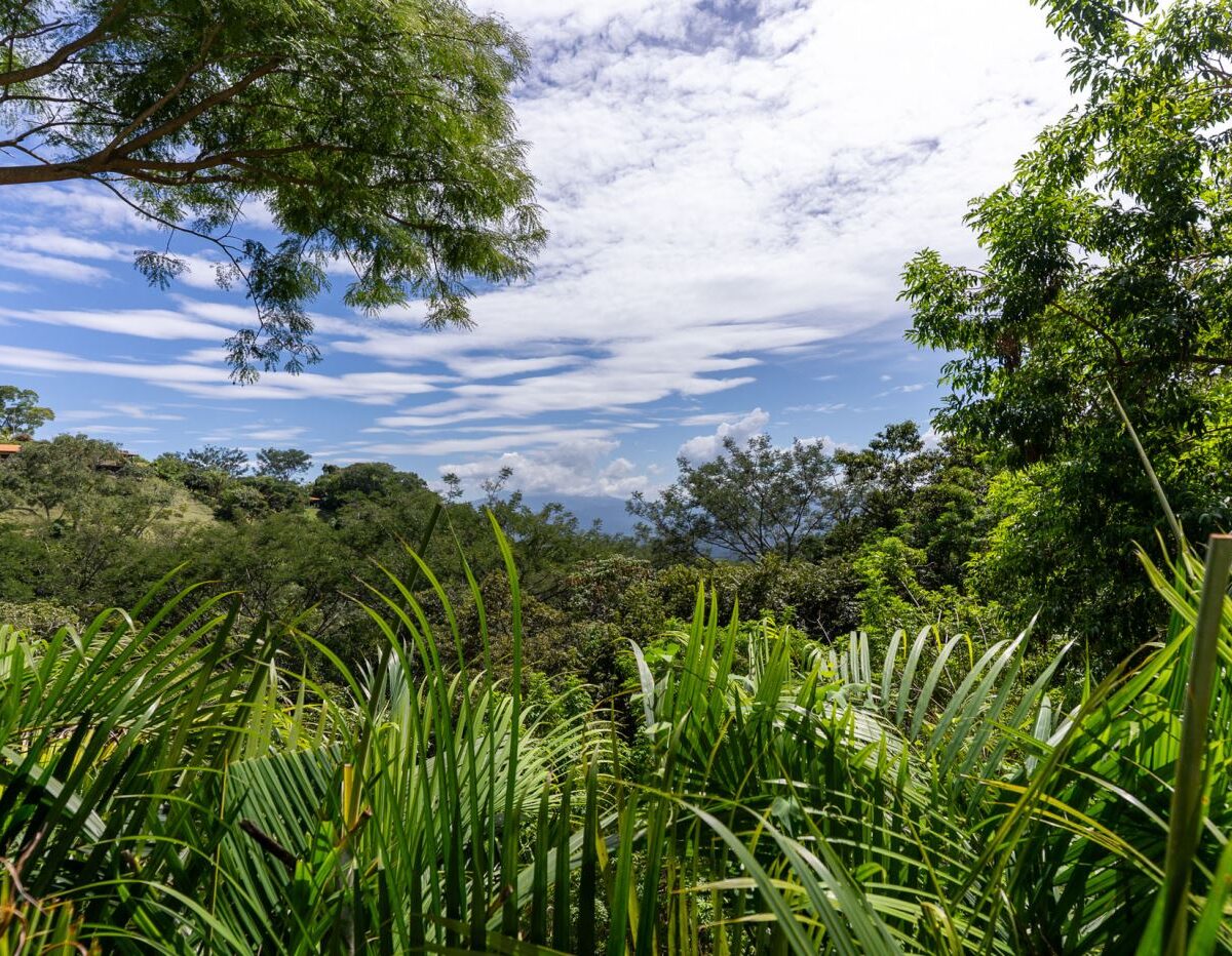 Homes for sale in Atenas Costa Rica