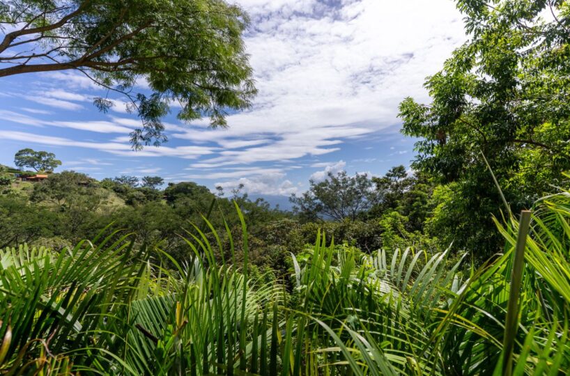 Homes for sale in Atenas Costa Rica