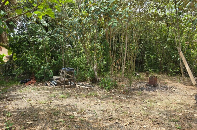 Homes for sale in EsterillosParrita Costa Rica