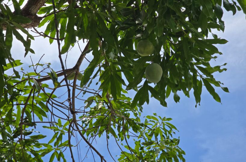 Homes for sale in EsterillosParrita Costa Rica