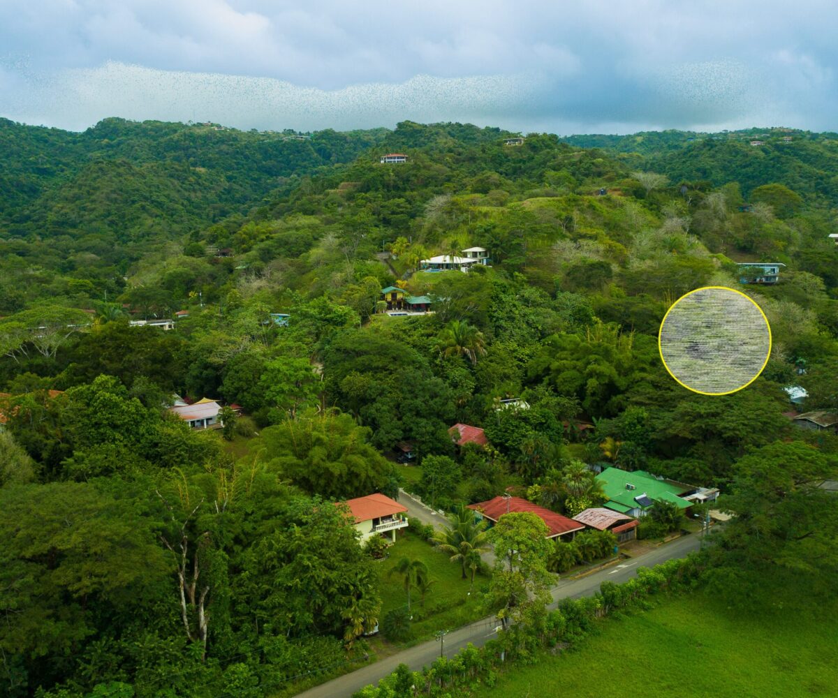 Building Lots for sale in Hermosa Beach Costa Rica