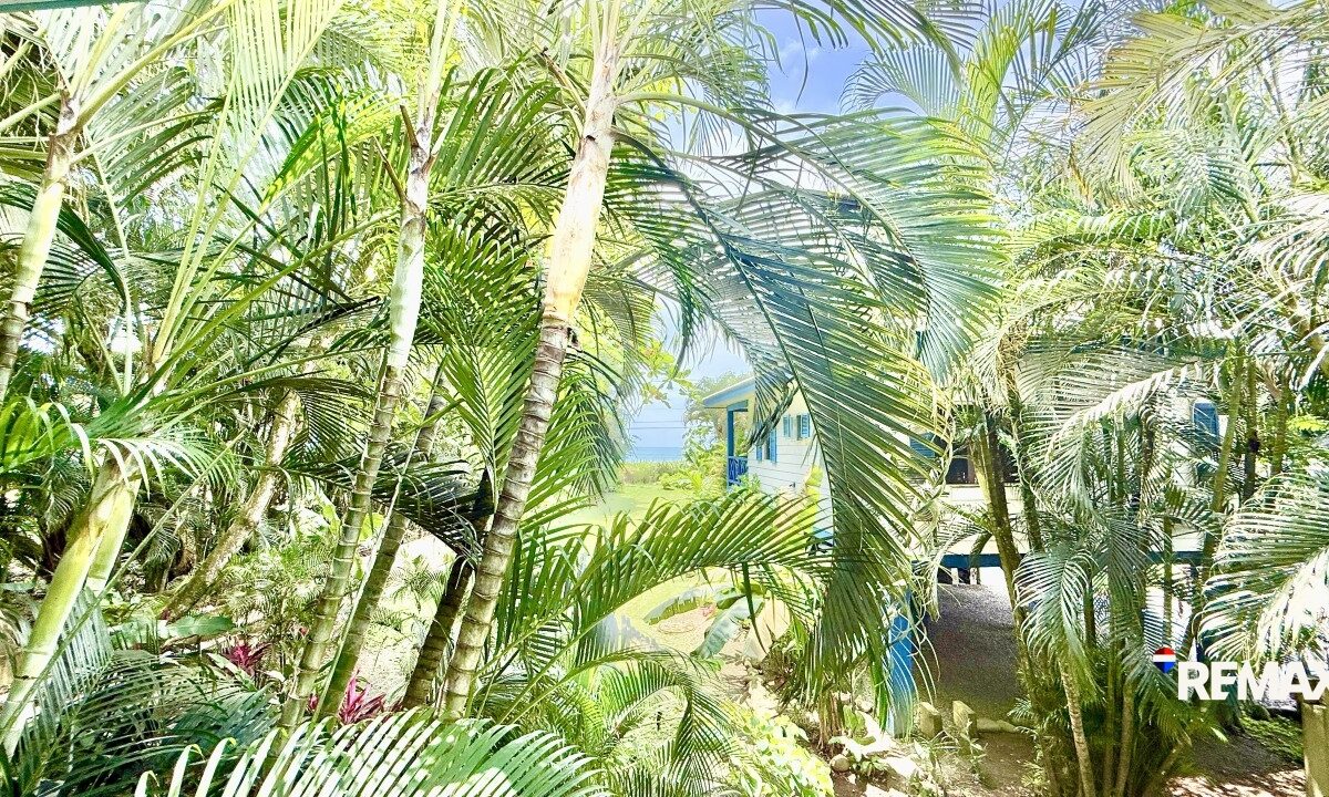 Homes for sale in Hermosa Beach Costa Rica