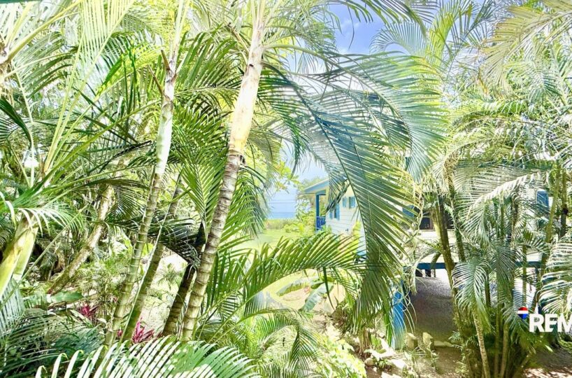 Homes for sale in Hermosa Beach Costa Rica