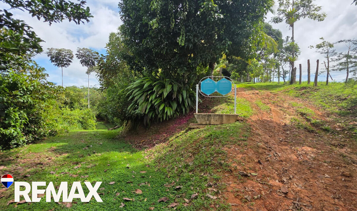 Development LandFarms and Ranches for sale in Puriscal Costa Rica