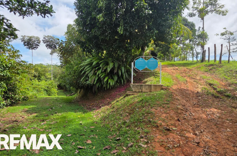 Development LandFarms and Ranches for sale in Puriscal Costa Rica