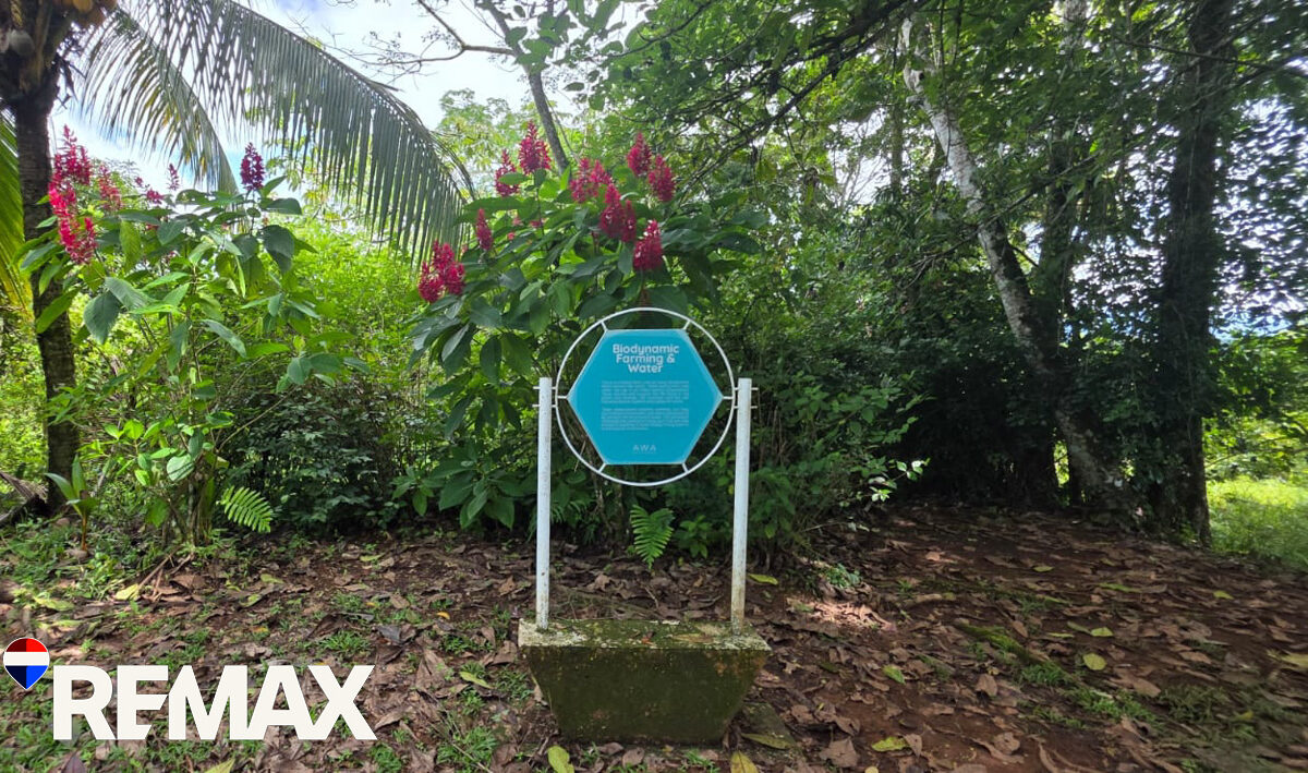 Development LandFarms and Ranches for sale in Puriscal Costa Rica