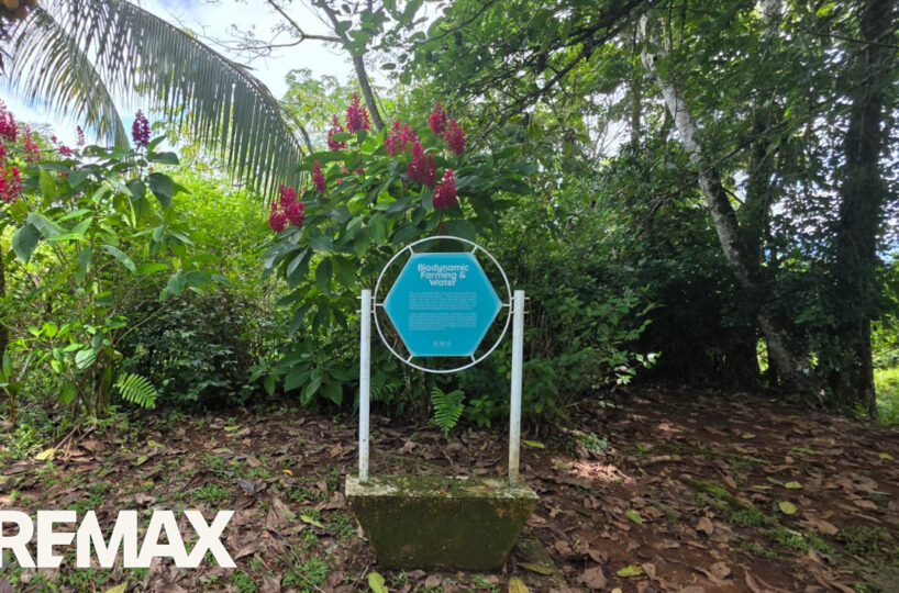 Development LandFarms and Ranches for sale in Puriscal Costa Rica