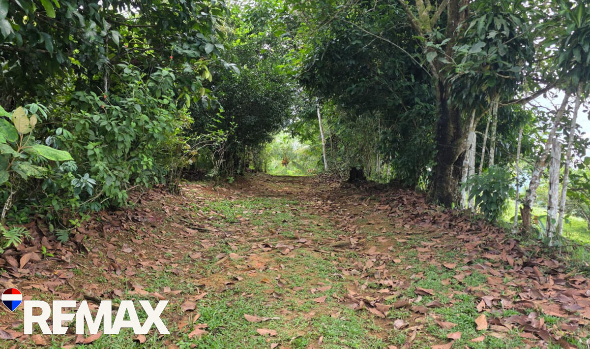 Development LandFarms and Ranches for sale in Puriscal Costa Rica