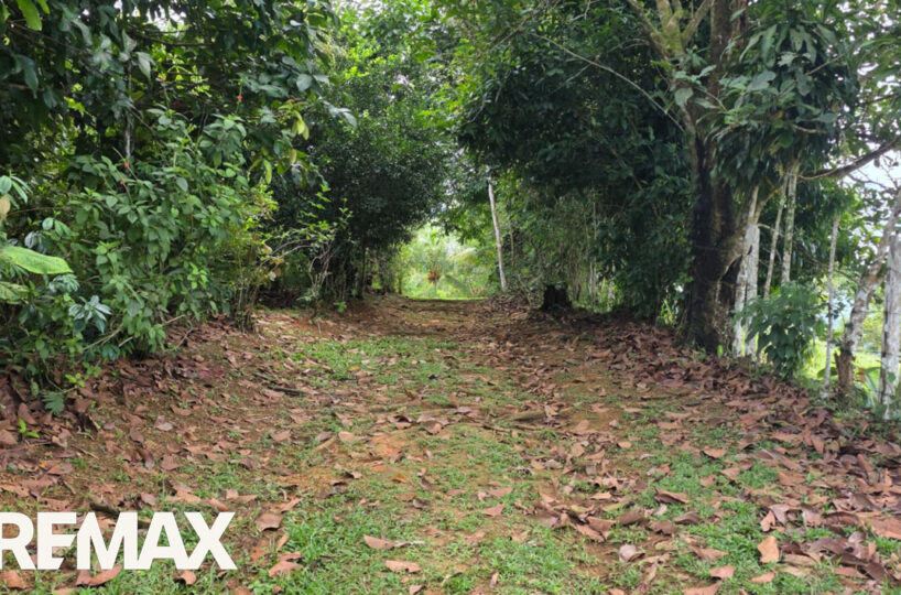 Development LandFarms and Ranches for sale in Puriscal Costa Rica
