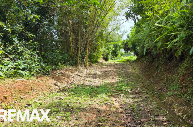 Development LandFarms and Ranches for sale in Puriscal Costa Rica