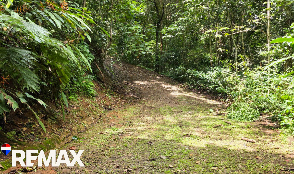 Development LandFarms and Ranches for sale in Puriscal Costa Rica