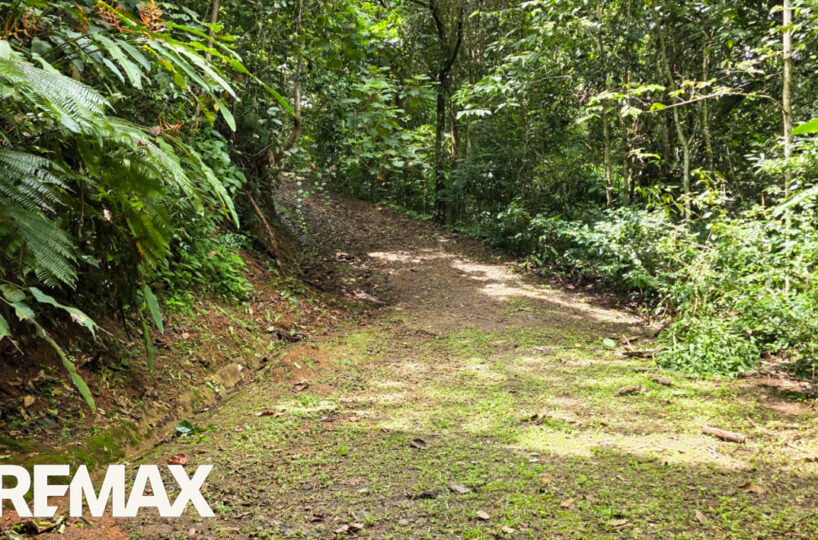 Development LandFarms and Ranches for sale in Puriscal Costa Rica