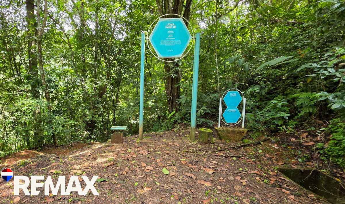 Development LandFarms and Ranches for sale in Puriscal Costa Rica