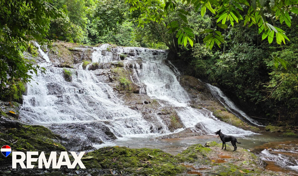 Development LandFarms and Ranches for sale in Puriscal Costa Rica