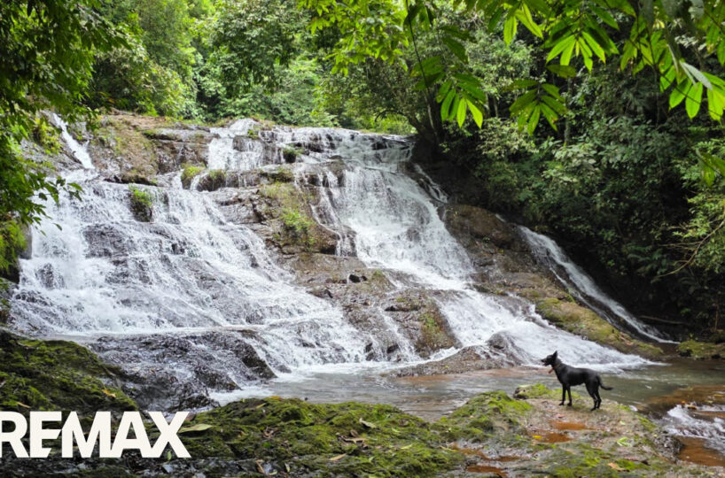 Development LandFarms and Ranches for sale in Puriscal Costa Rica