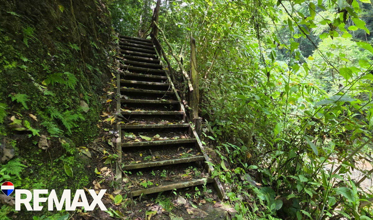 Development LandFarms and Ranches for sale in Puriscal Costa Rica