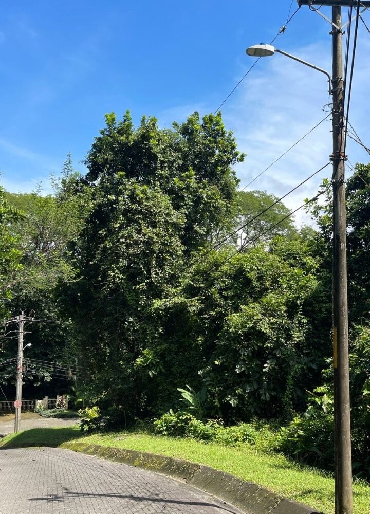 Building Lots for sale in Tarcoles Costa Rica