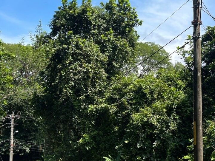 Building Lots for sale in Tarcoles Costa Rica