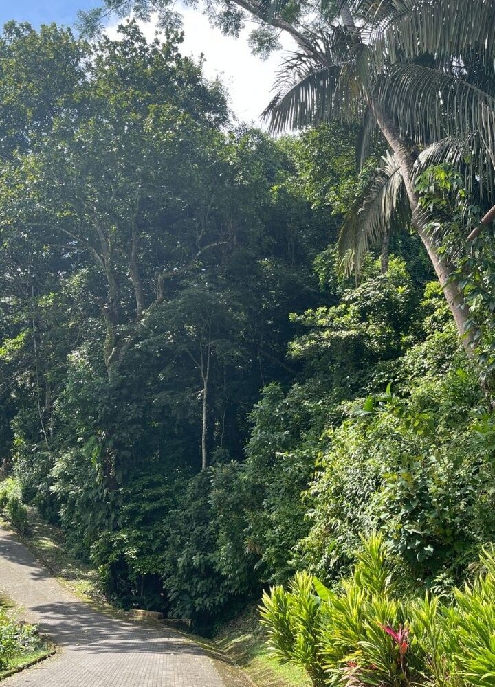 Building Lots for sale in Tarcoles Costa Rica