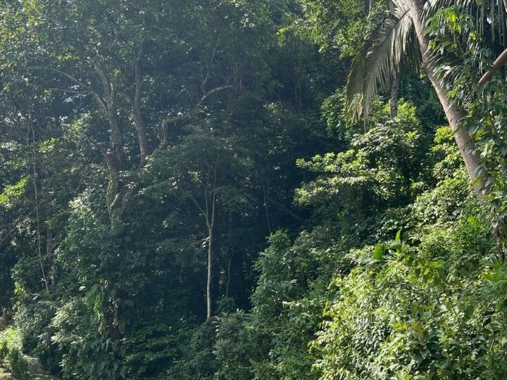 Building Lots for sale in Tarcoles Costa Rica