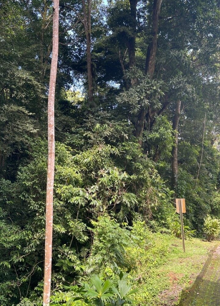 Building Lots for sale in Tarcoles Costa Rica