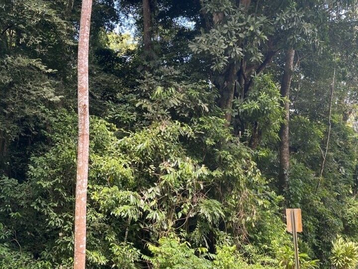 Building Lots for sale in Tarcoles Costa Rica